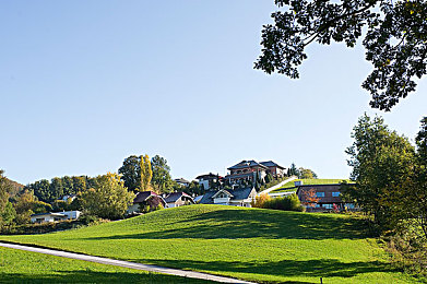 欧美毛茸茸|“毛茸茸设计引领潮流,环保科技打造绿色出行新风尚——揭秘即将上市的特色汽车”-2