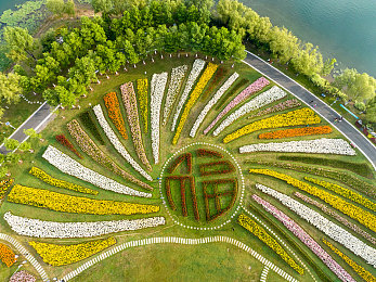 女性憋尿训练|“驾驭自如,安全启程:女性司机必备的驾驶健康秘籍”-5