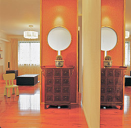 啄木鸟 满天星 总统夫人 夸克|璀璨星光下的总统座驾传奇,"满天星"闪耀车坛新篇章-2