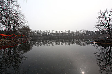 草莓丝瓜巨人｜绿意盎然，动力非凡——草莓灵感智驾先锋-1