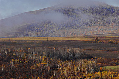 美女脱衣软件｜汽车安全升级，警惕恶意程序威胁，智能化出行需谨慎-1