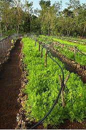 被女同学用手玩jiji｜时尚动感，卓越性能，女同学倾心之选——Jiji引领汽车新潮流-2