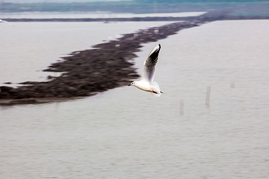 2025最新实名认证有效|“实名认证升级助力,中国汽车行业迈向智能新纪元,规范与机遇并存”-5