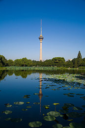 七夕物语2李蓉蓉的身世背景故事|汽车才女传奇,逆境绽放绿色未来-1