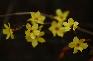 一个好妈妈4字中头强华驿头｜全新强华驿头车型惊艳亮相：品质卓越，驾驶体验升级，市场瞩目新焦点-2