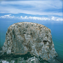 爽 好多水 快 添奶头动漫小说｜性能与舒适兼备，爽多多新车型引领驾驶新潮流，打造都市驾驶新体验-1
