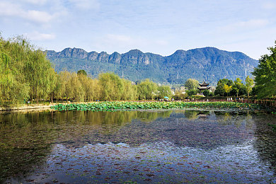 山村最原始欲乱｜创新设计引领未来，环保理念诠释原始之美：山村车企打造全新车型，市场前景备受期待-4