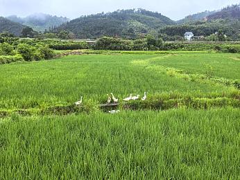 17c吃瓜黑料爆料|知名汽车品牌新车涉嫌抄袭,外观内饰做工问题频发,网友热议“糊弄消费者”-1