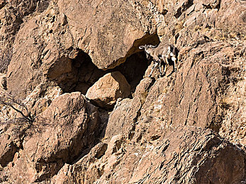 黄片下载3.0｜智能革新引领未来，黄片下载3.0系统打造颠覆性汽车新体验-2