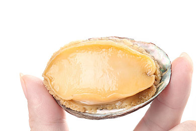 暴躁大妈2农场女儿角色剧情介绍森林｜新型汽车融合角色剧情，森林绿车身设计，引发关注-1