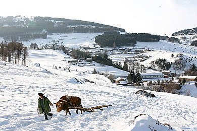 我把亲女破了处|“惊世性能,环保设计,独特营销:某知名品牌新车型上市首月销量破万,成为市场焦点”-1