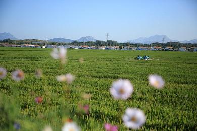 拔出来~啊你tm别 了18禁|“动感流线,驾驭未来,全新SUV演绎科技与时尚之韵”-2