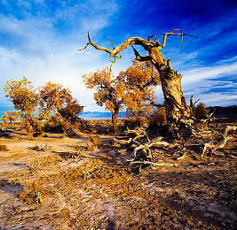 《麦乐迪 女超人》|“流线设计、强劲动力,麦乐迪新车型引领智能驾驶潮流,女超人元素成亮点”-3