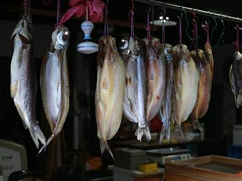 香蕉插进桃子里面|创新设计引领未来:独特概念车融合香蕉曲线与桃子形状,开启绿色出行新时代-4