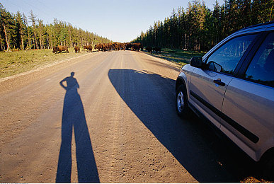 打扑克又痛又叫的软件|智能驾驶新风尚:娱乐安全两不误,科技赋能未来出行体验-4