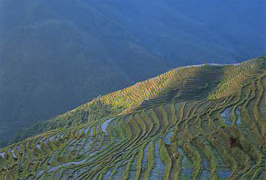 13777大但人|“前沿科技引领,未来潮流驾临:全新车型惊艳亮相,定义汽车新纪元”-1