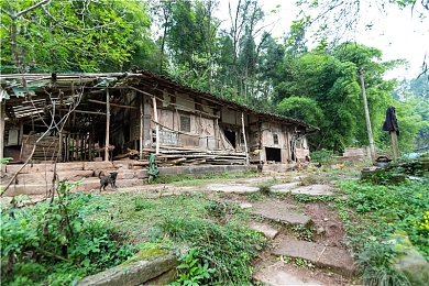 葵司单挑24人|赛车巅峰对决,葵司挑战24强,速度与激情盛宴即将开启-1