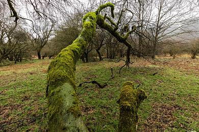 火影忍者黄游｜科技赋能动漫跨界，创新设计引领汽车游戏新潮流：火影元素注入汽车行业新活力-3