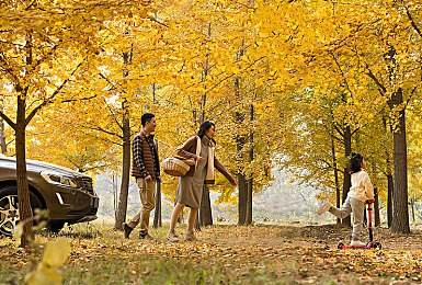 tube 24HD｜“革新力作， Tube 24HD引领汽车科技新潮流：外观设计独具匠心，智能配置再升级，速度与安全兼备”-3