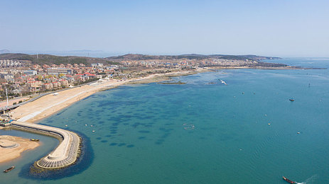 91c|【91c热销新纪元:爆款紧凑型轿车引领市场潮流,销量突破万台,品质与实力并存】-3