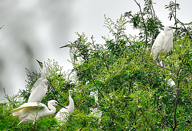 性动态｜女性崛起，汽车市场性别差异化趋势引领行业变革-1