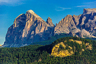 日本人与禽ZoZ0善交｜“日本汽车品牌推出鸟类灵感车型ZoZ0，环保人性化设计引关注”-2