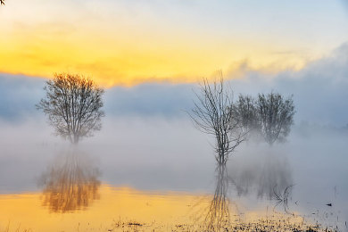 黄色软件app免费下载2023|汽车助手新宠:免费应用“黄色软件”助车主轻松应对出行难题,一站式服务引关注-1