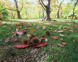 肌肉男自慰|硬派外观强动力,"肌肉男自慰"新SUV成市场焦点-5