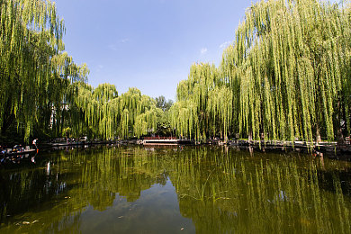 明里紬人妻出差侵犯|明里紬人妻惊艳亮相,创新动力与智能科技打造家庭出行新标杆-3