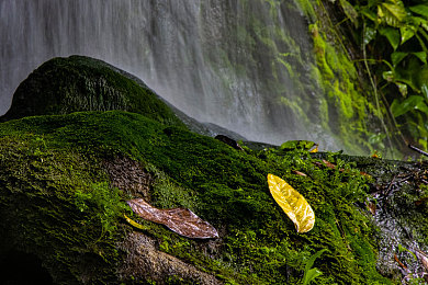 每日大赛 反差大赛 骑乘|“速度与激情交汇,都市猎人领跑,汽车盛宴精彩回顾:探寻性能与个性的极致之旅”-3