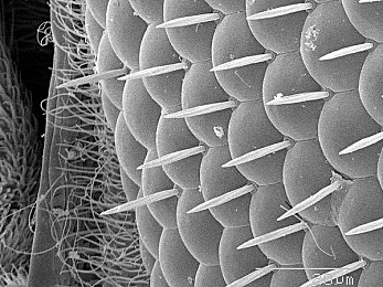 免费黄色软件下载大全|“智能驾驭新境界,便捷车生活,软件助航未来之旅”-1