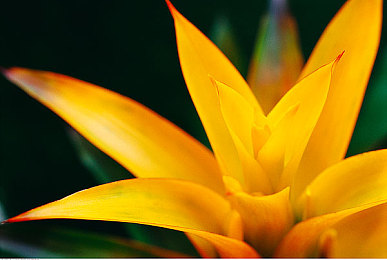 加勒比一区二区｜新能源汽车崛起，科技赋能，加勒比区域汽车市场未来可期-2