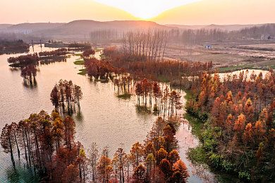 啪啪啪的软件|汽车智能革命,"啪啪啪"软件引领驾驶体验升级-1