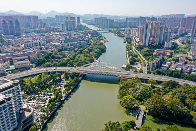 火爆社区向日葵-3