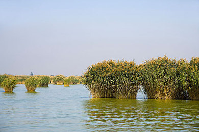 18种禁用软件|汽车行业升级:严打安全隐患,18类车载软件禁用,安全驾驶先行-4