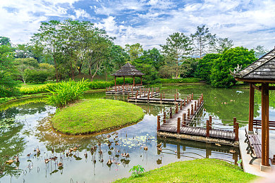 业余半老成熟自由性别业余的定义|汽车文化新潮流:跨越年龄与性别界限,汽车爱好者定义重塑传奇-1