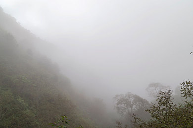 十大禁用黄色APP-2