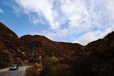 黄色不良软件下载|智能汽车安全隐患频发:某品牌车型涉不良软件,车主应如何应对?-3