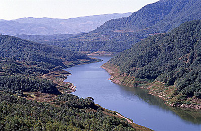 甘雨乳液｜汽车护理新秀崛起：天然配方守护车漆，甘雨乳液受消费者热捧-2