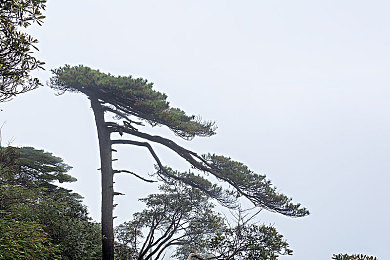 嗯灬啊灬把腿张开灬A片动漫图片|前沿科技赋能,独特设计引领——中国制造概念车型惊艳亮相,行业未来可期-2