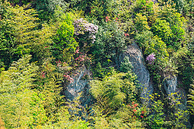 潘金莲裸体一级婬片｜“创新命名引热议，卓越性能赢口碑：揭秘独特车型魅力”-3