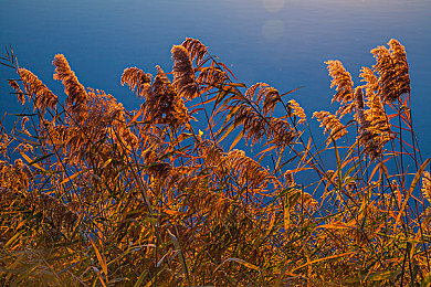 Free性满足HD性Bww乐趣|驾驭新境,悦享非凡之旅-1