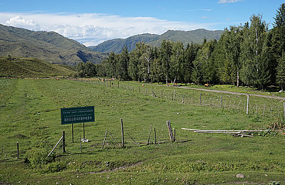 免费黄色软装｜知名汽车品牌推“惊喜福利”，车主可享免费个性软装升级-1