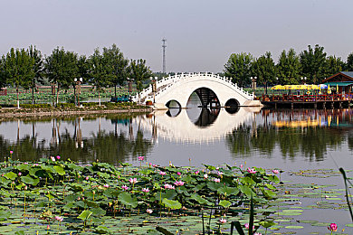 麻豆少妇｜时尚与稳重融合，＂麻豆少妇＂车型成市场新宠，引领驾驶新体验-2