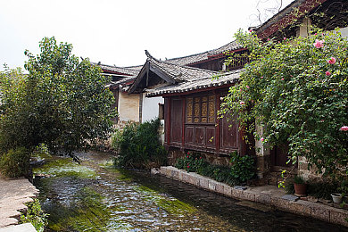 非洲人与牛性动交CCO0|“非洲风情设计,环保动力引领,创新车型助力非洲汽车产业腾飞”-3