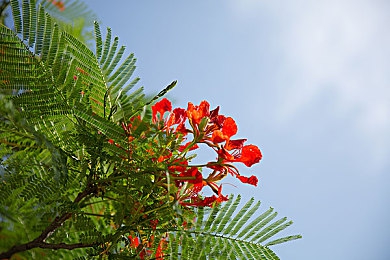 美女打开双腿 含羞|全新SUV惊艳亮相,智能化配置与强劲动力引领汽车新潮流-5