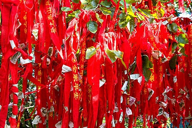 男生女生羞羞｜汽车市场性别差异化趋势明显，＂羞羞＂车型引领新潮流-2