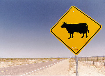 女生裸体挤奶动漫APP｜汽车个性化新风向：特斯拉Model 3启示车企创新定制服务-1