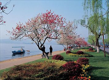 萝li 交|轻启未来,绿动出行,科技驾驭,青春启航-1