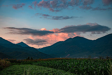 uu稀缺暑假作业|夏日汽车新风尚,“uu”车型引领潮流,打造高品质驾驶体验-1